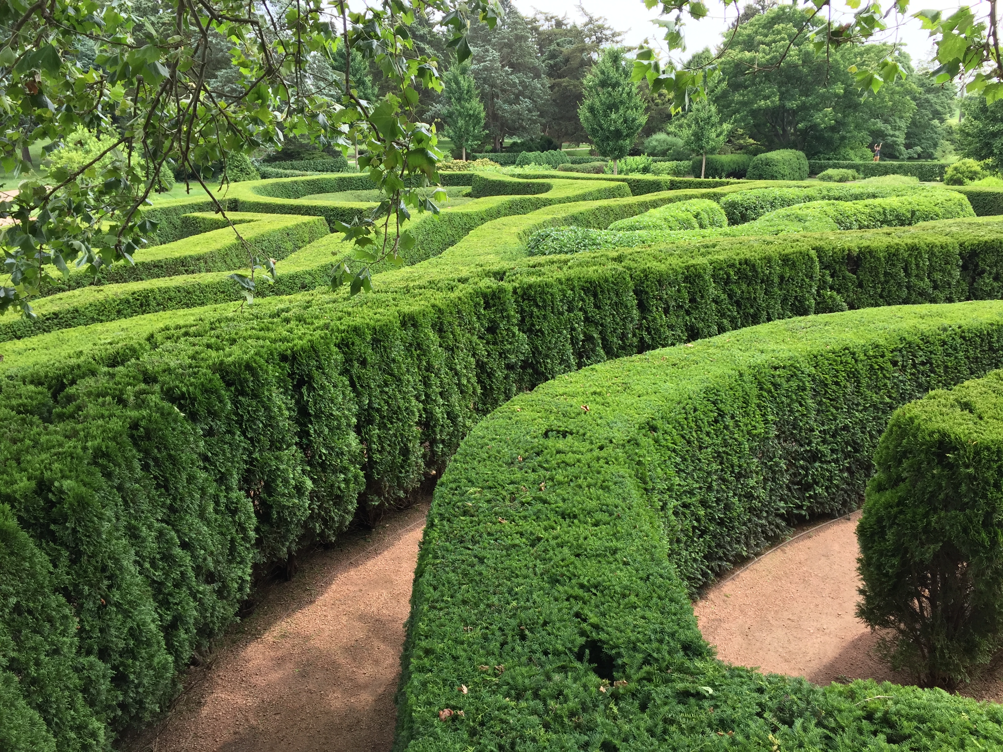 Hedge maze in a public garden